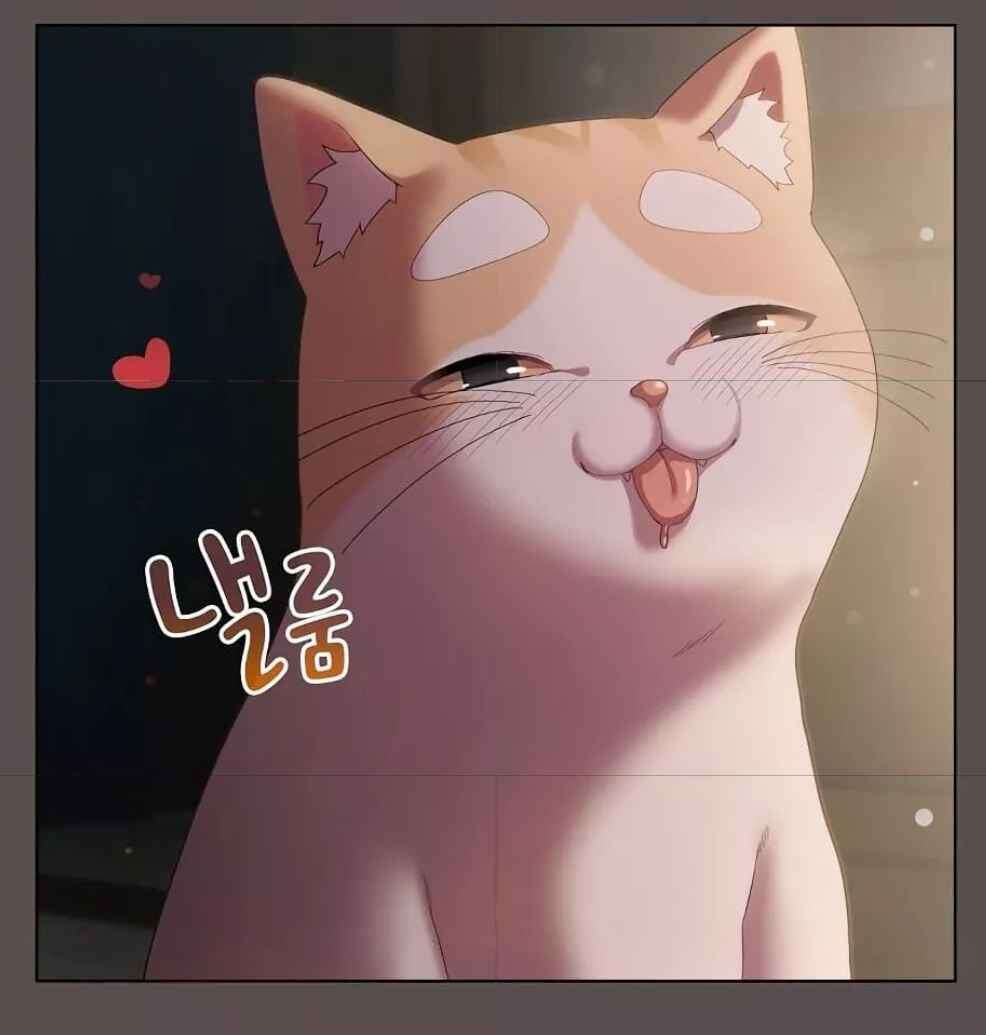 yskszk